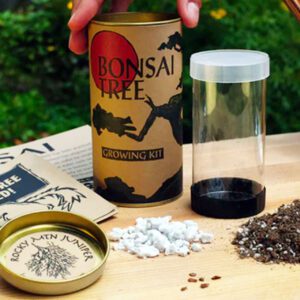 Bonsai tree seed growing kit contents - fun gift for young children