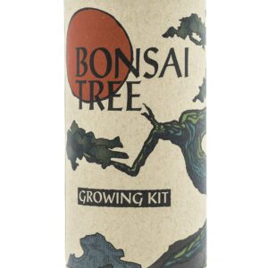 Bonsai tree growing kit tube container
