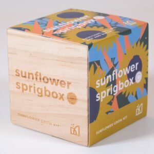 Sunflower Grow Kit in a box - Sunflower Sprigbox growing kit perfect gift for kids - front and side