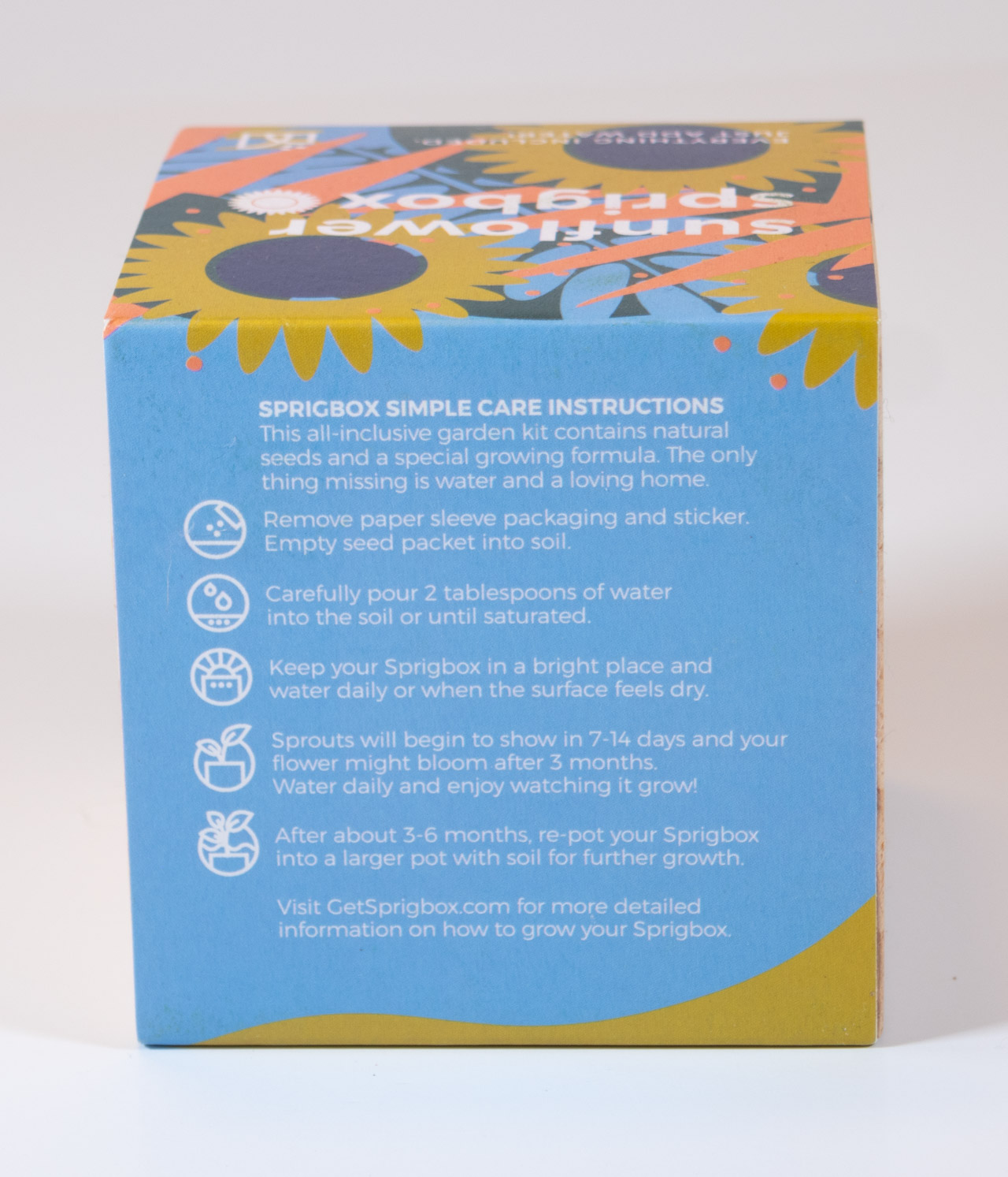 Sunflower Grow Kit in a box - Instructions, fun tween gift