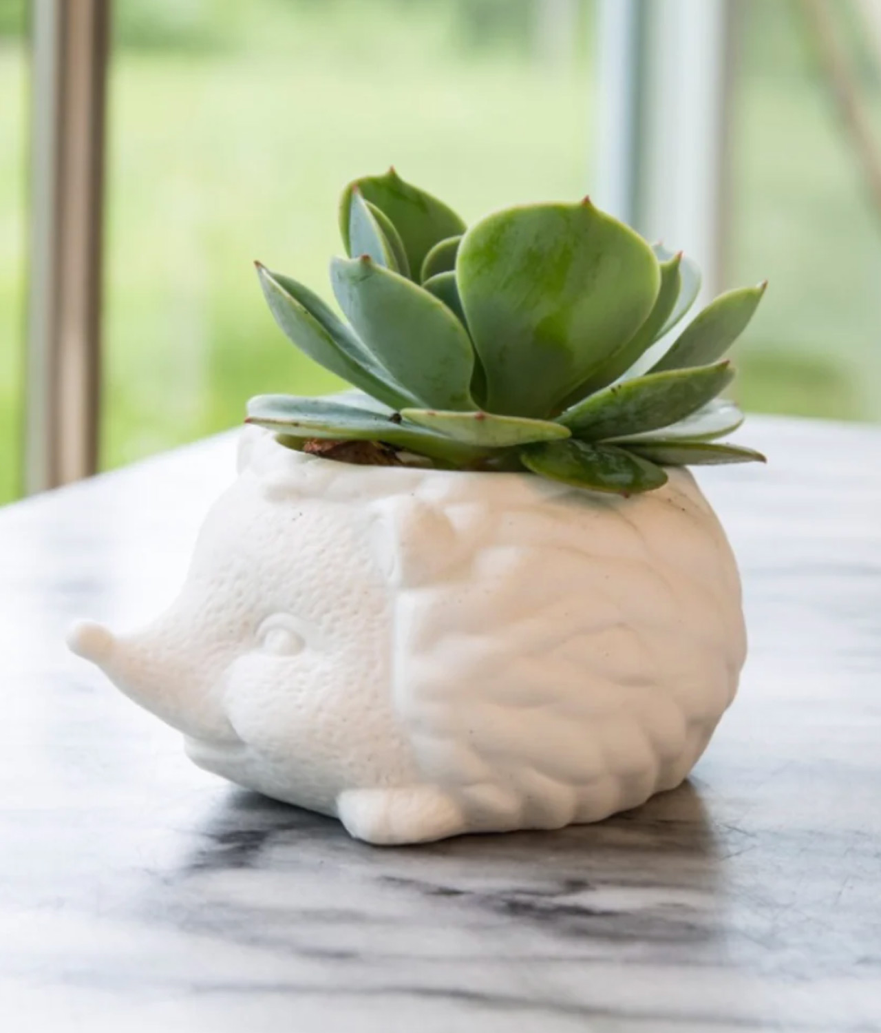 white ceramic hedgehog planter