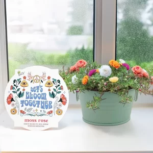 plant kit for kids - moss rose growing kit
