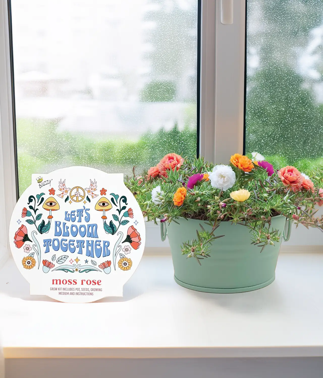 plant kit for kids - moss rose growing kit