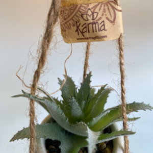 mini hanging planter close up