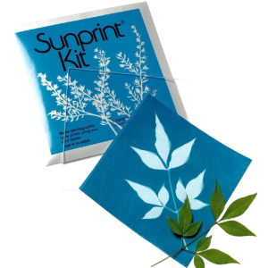 Finished sun print of leaf made using STEM gift for girls